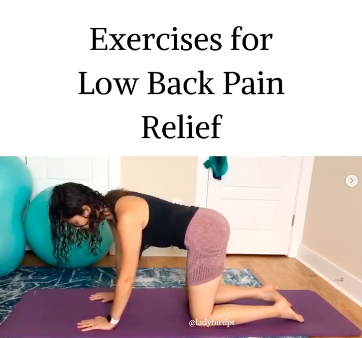 6 Steps To Manage Sudden Onset Back Pain Lady Bird PT
